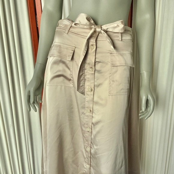 Banana Republic Satin Midi Skirt Beige Button Down Lined Size 6 - Picture 5 of 8